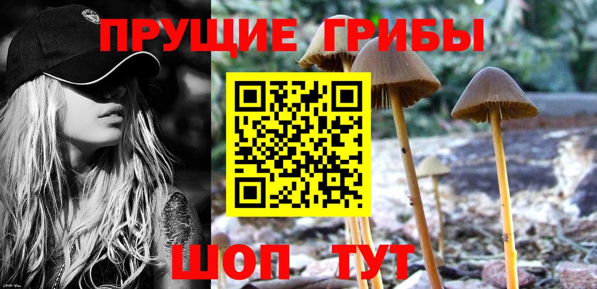 Галлюциногенные грибы Psilocybine cubensis  Псилоцибиновые грибы мицелий  Вход с VPN  Тихвин 