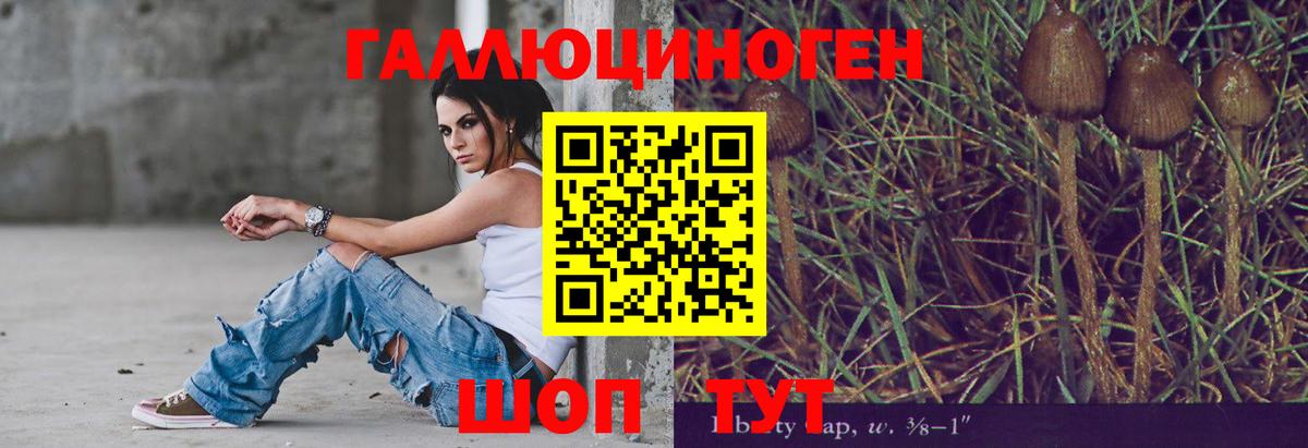 Псилоцибиновые грибы MAGIC MUSHROOMS Тихвин